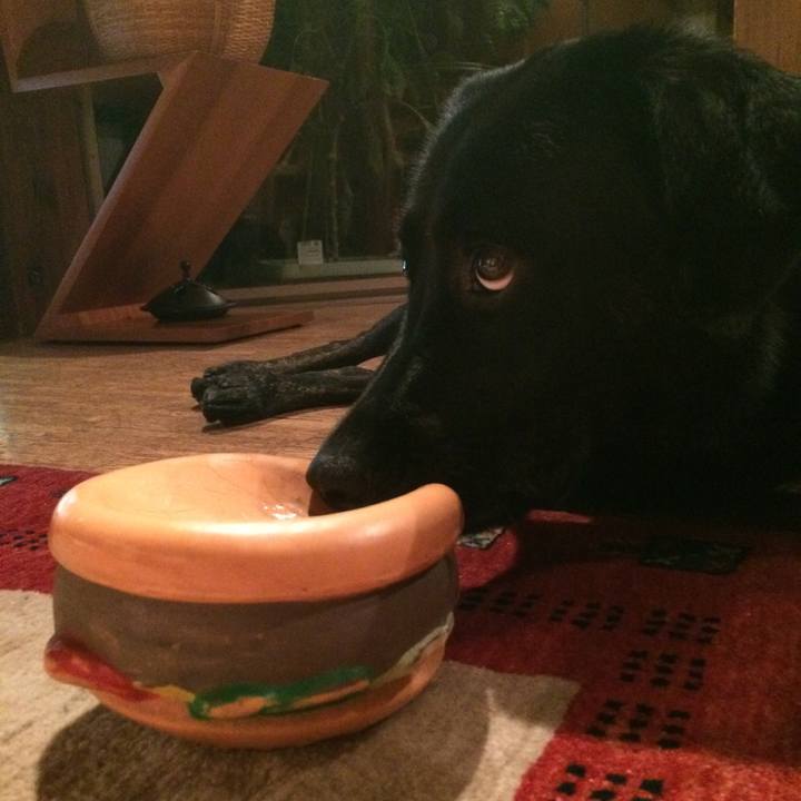 813a999d 1916 4d13 8574 1d2ac5758ddb