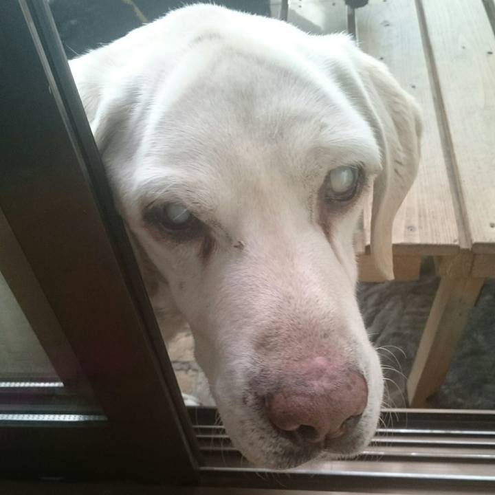 813af4ce 05ca 4ad8 947e c1b57849ffc9