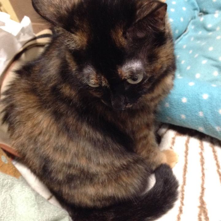 813b1dad 68a2 4ab0 bc03 5d2ad11d936e