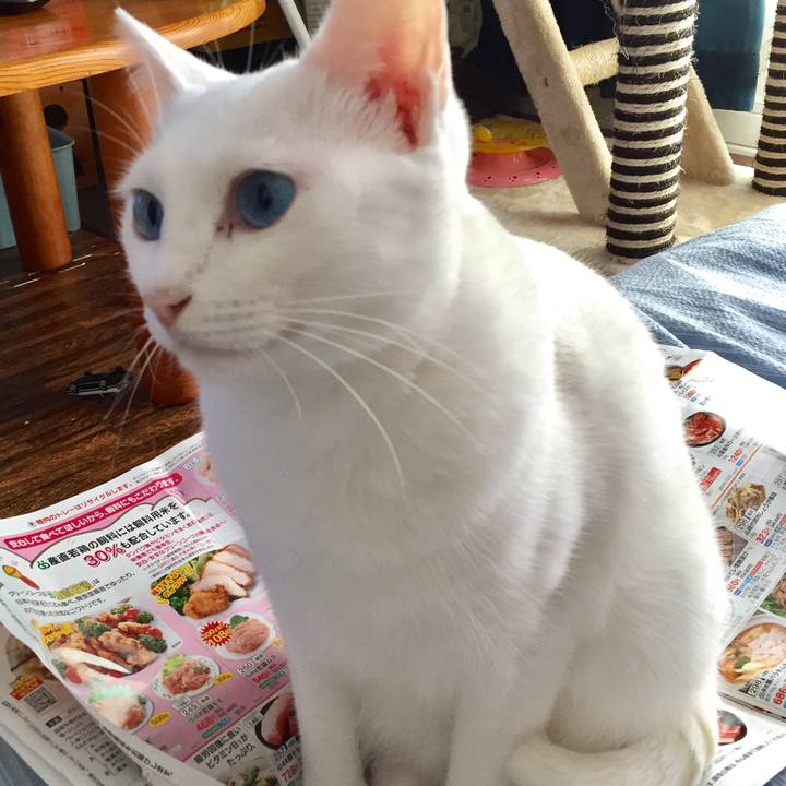 813b43c0 c740 4b1a 8ede 3173a48042d1