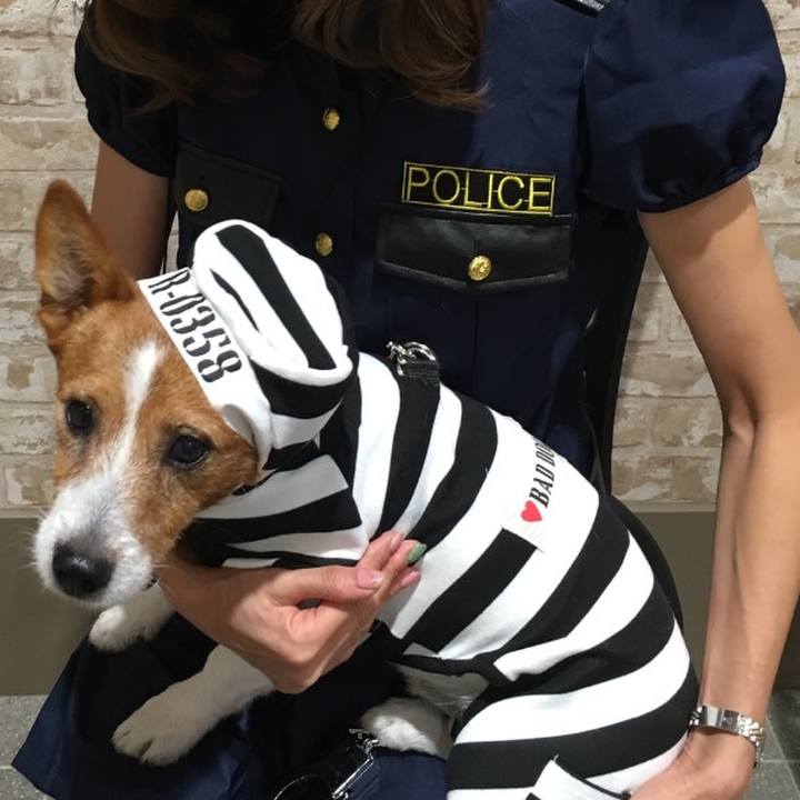 813b55bf da69 4f0a b45b c819560989a3