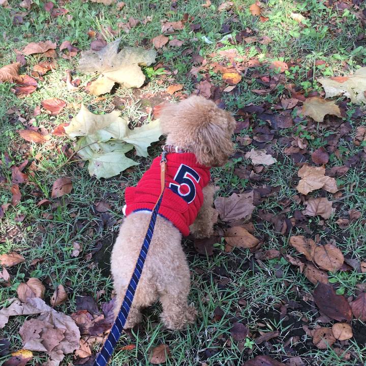 813b8e3f 61f1 40d0 aecf 6a7934364eee