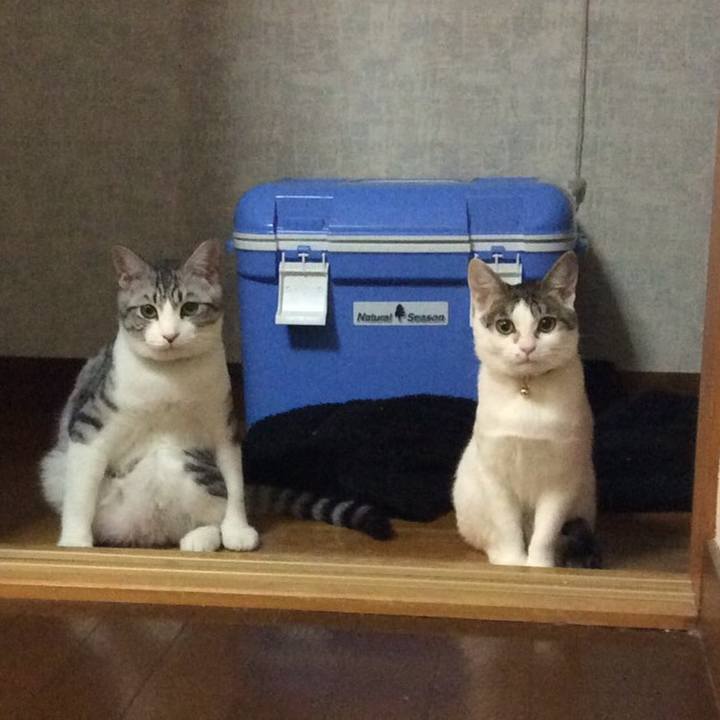 813bff5c 2099 4fff bbbb 634b10db348a