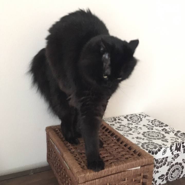 813c28fa fb7b 42a1 974f 0554b49a3267