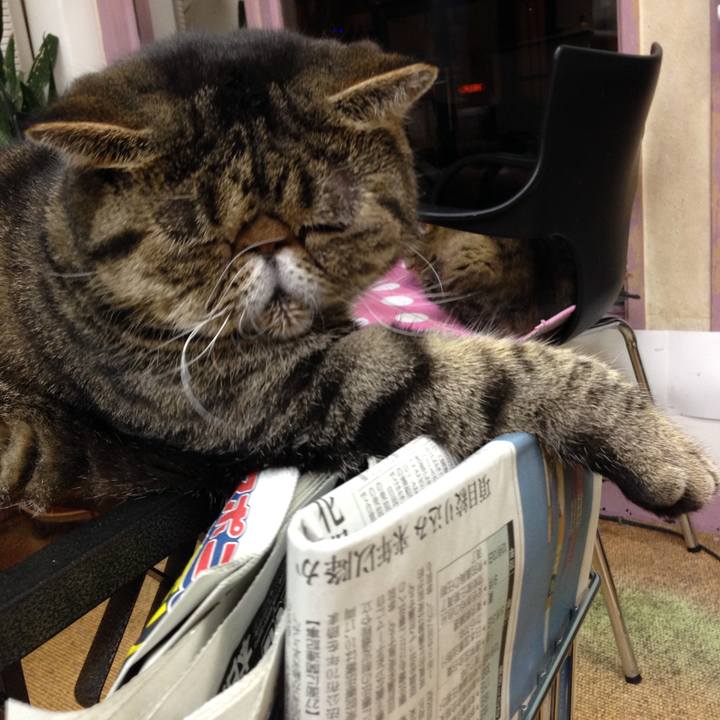 813c3ef7 fe03 4c58 9057 81775200f426