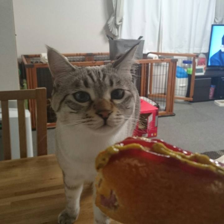 813cfe38 c54e 4294 a303 934b22490c27