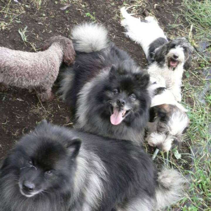 813d8d5f a3e9 4643 beac 4648d3e907c3