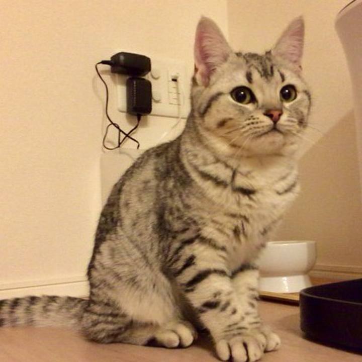 813d9e30 e918 481f 84fa 4fce91669d6e