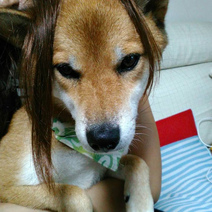 813df494 24ff 4a7b bce1 560c44c45bf6