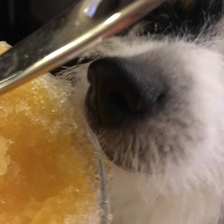 813e1406 057e 40c2 a8b8 7193b2dc2bb5