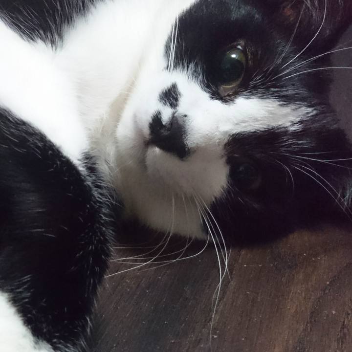 813e82d3 fde4 4524 91b5 e2a606e50bd1