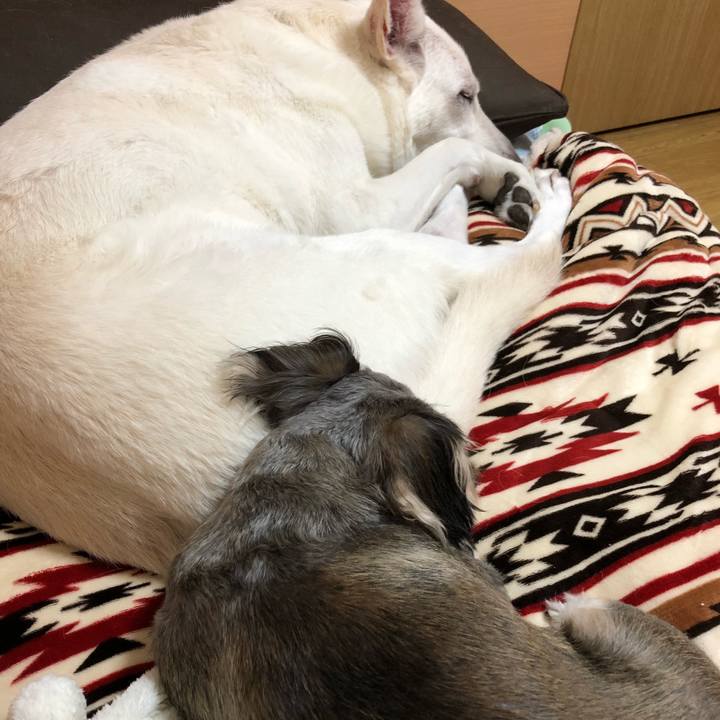 813ebd2b b890 4c2d b68e d7fc5af25321