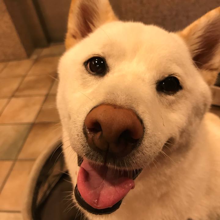 813f43d2 dcc1 4233 85d1 2f7328551f33