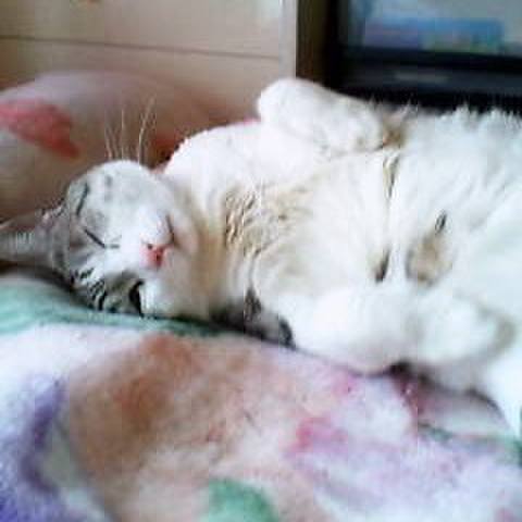 813f9f2c 9d83 49b4 b287 046edce3ee91