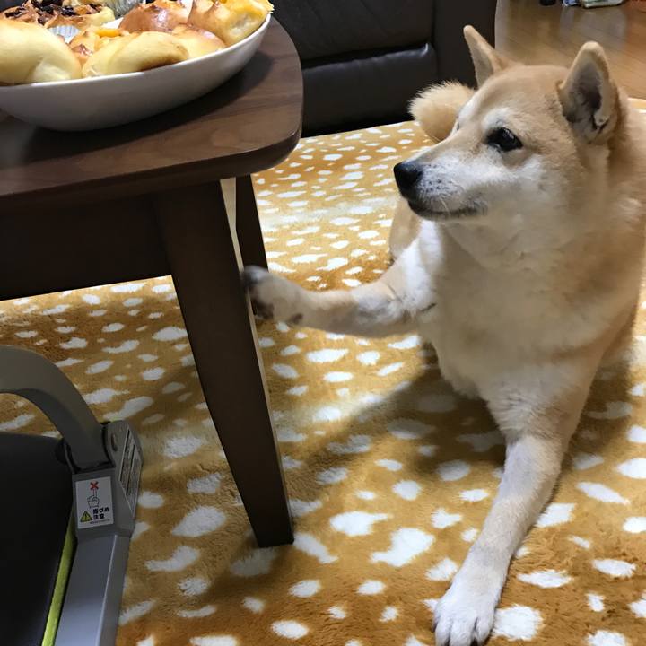 81409dcd 5a27 4692 be15 0be47abeede5