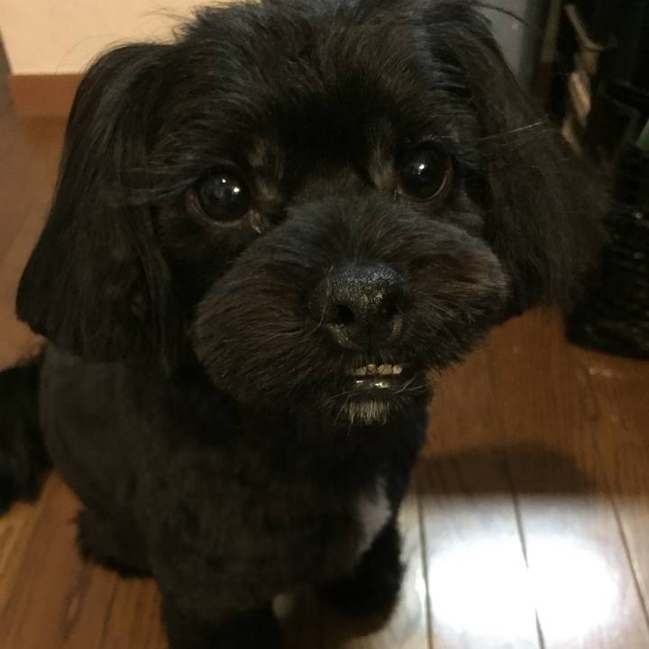 8140b116 437c 4830 a369 c8e77af148ea