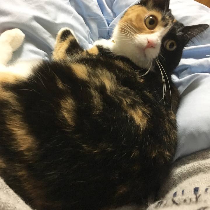 8140cab4 5310 4d20 9d85 79887bfb5077