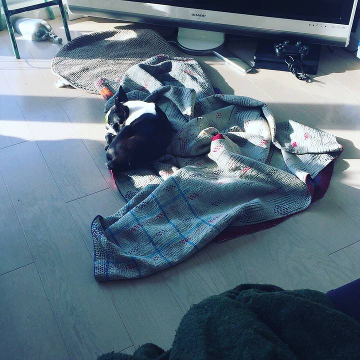 8140f5c3 7ca3 48c1 bc23 d779a356f05a