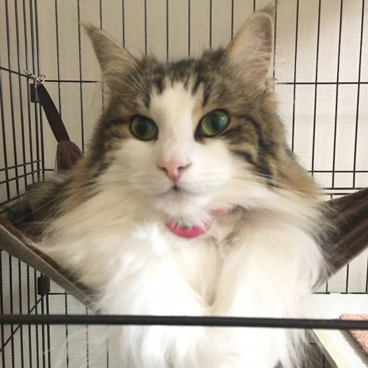 81419de0 ba9c 4f6e 9d16 cca5ed5ddd61