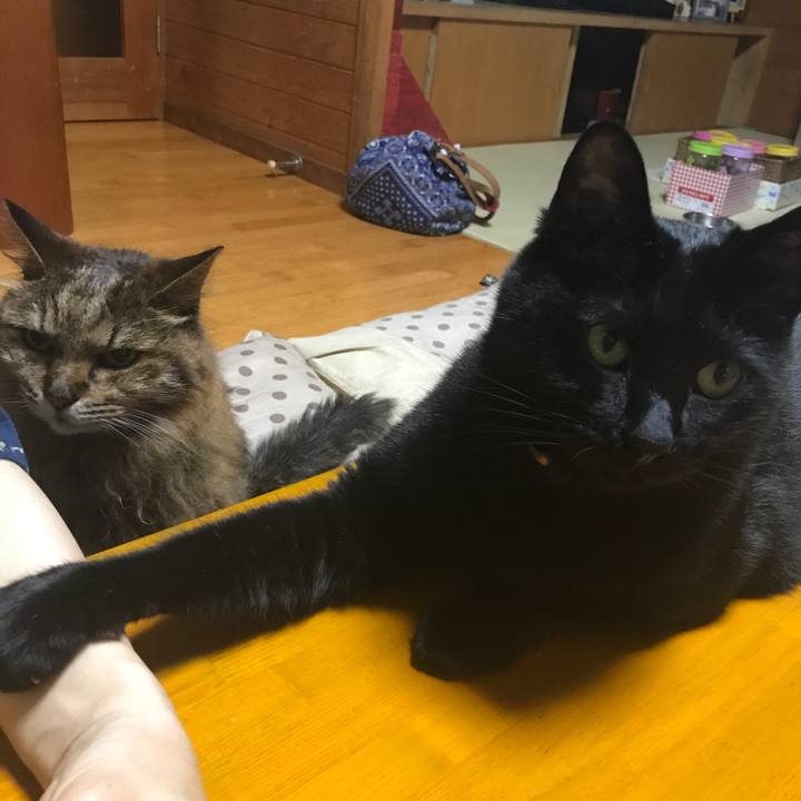 8141beb0 230d 4e1d a2d0 4e6f53e8a6ed