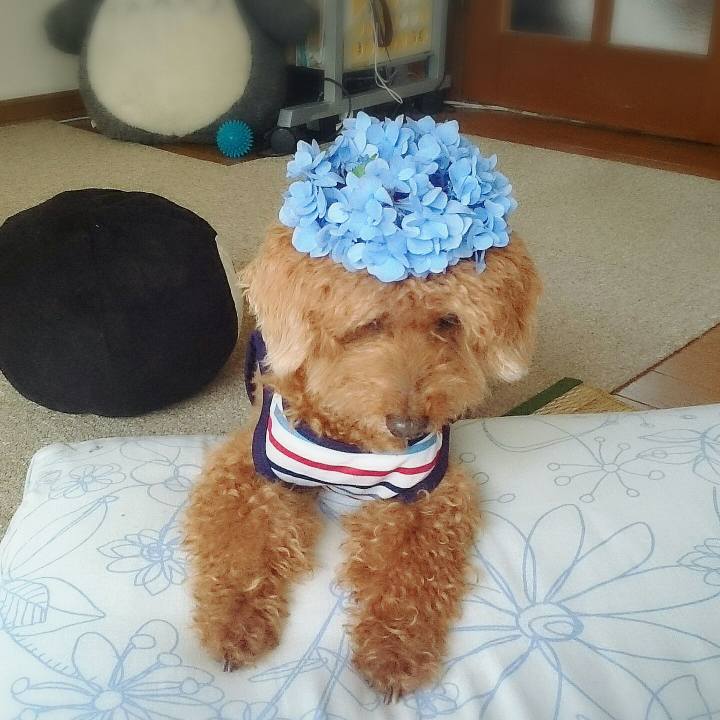 8141f17a 00bc 4839 946b 23eac73e079e