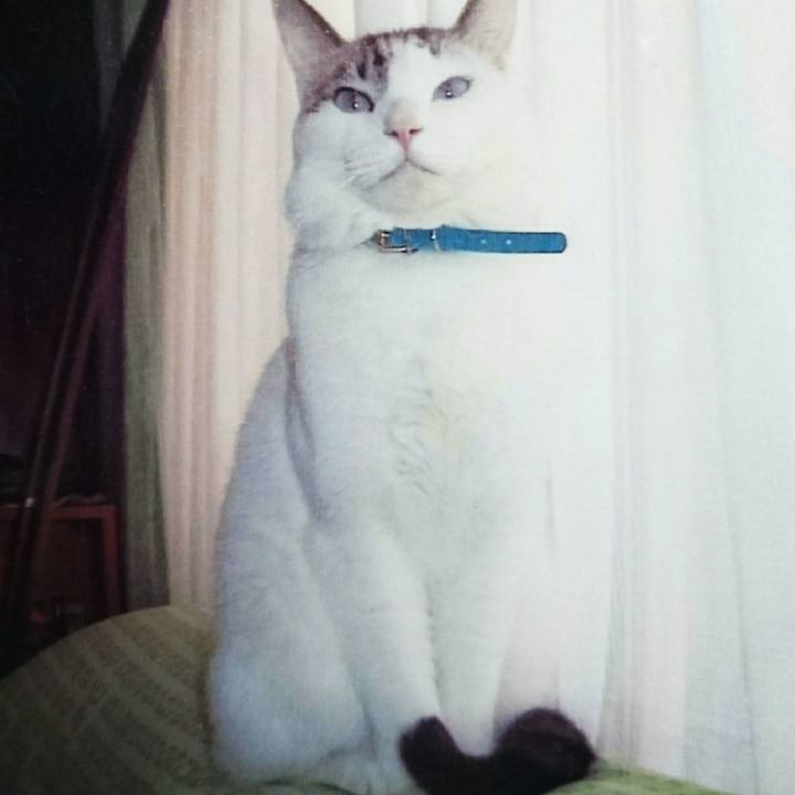 81420b9e 787f 4d5d 8746 5bd2c39dbe51