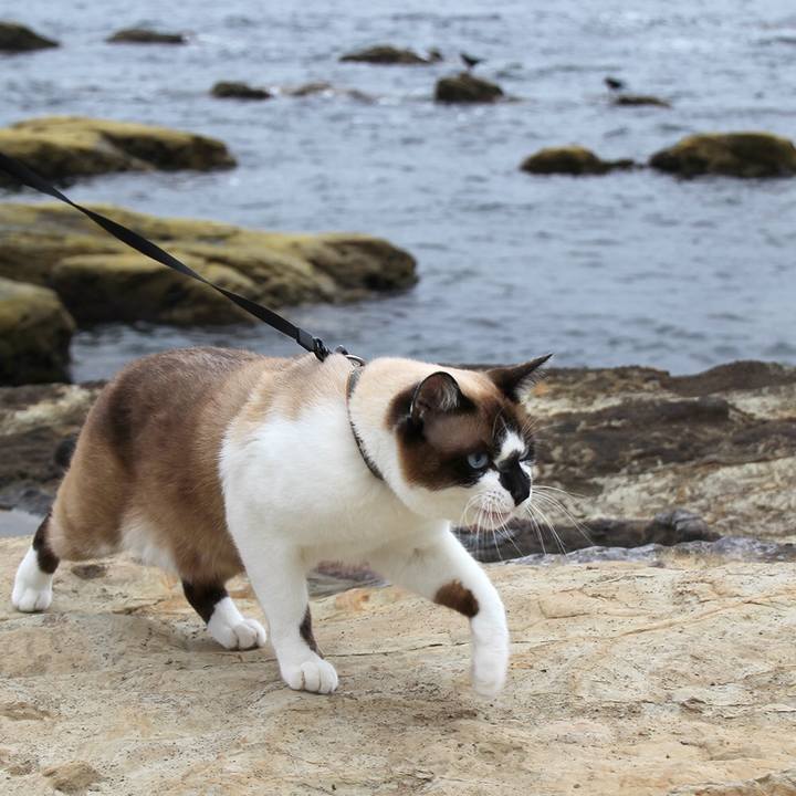 814249c5 c073 436b 8ab4 5488b94af725