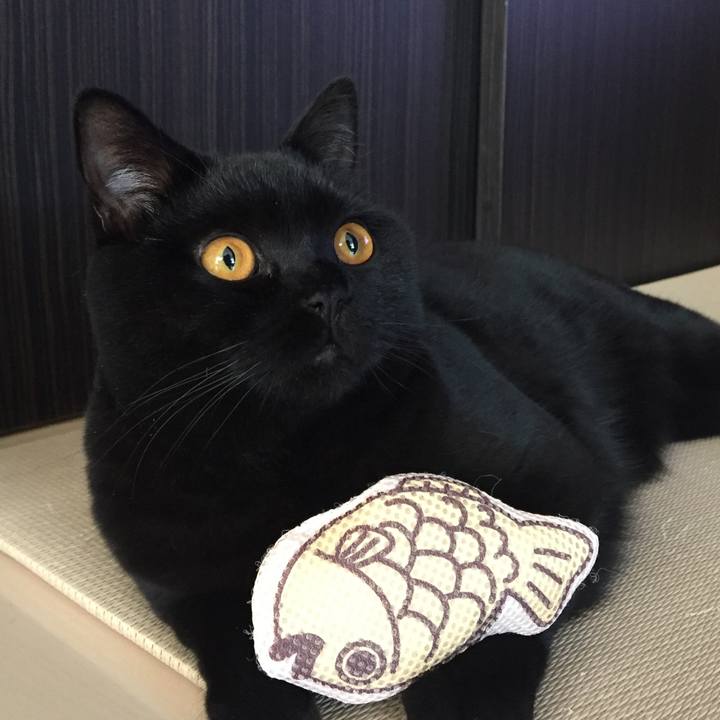 8142b7c5 dc52 40f0 a818 c4c1229d973a