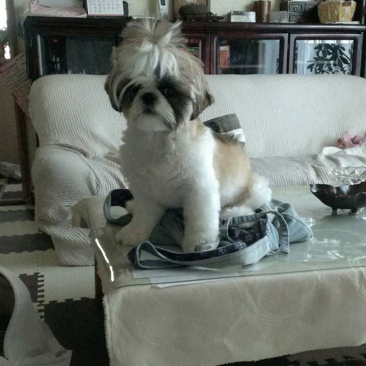 8142e85f 76f5 4bea 85c6 f0160fbc851b