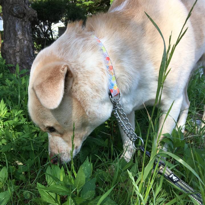 8143520a c2f5 44df baf7 d4eb2f0e285a