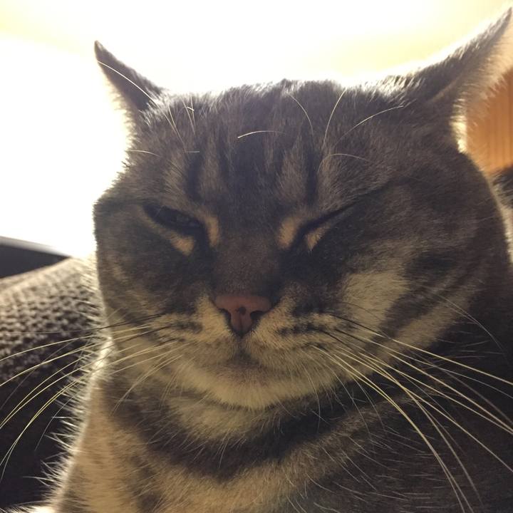 814358bc 16de 466e a880 4309b71cd399