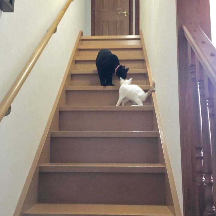 81443111 93a8 4c93 b1c5 635555b20669