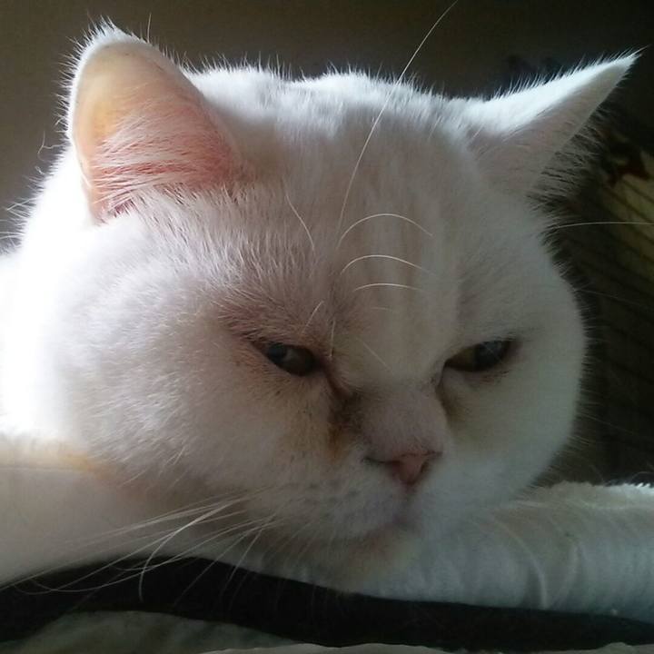 8144536b a4a0 49e1 9ad4 1eec16cd429b