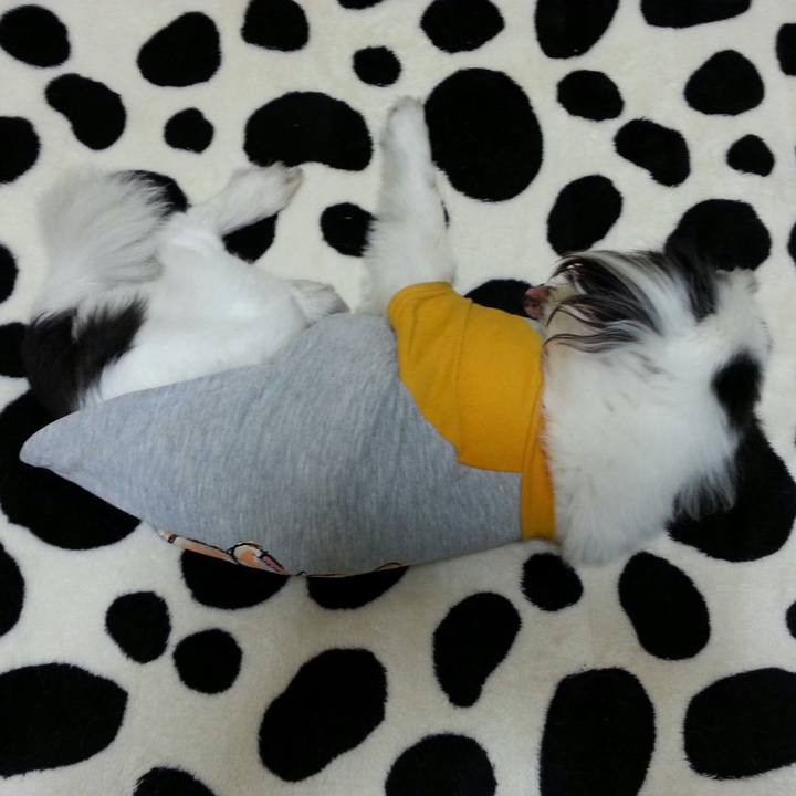 814459cf e686 4bd3 beb7 d49932666c52