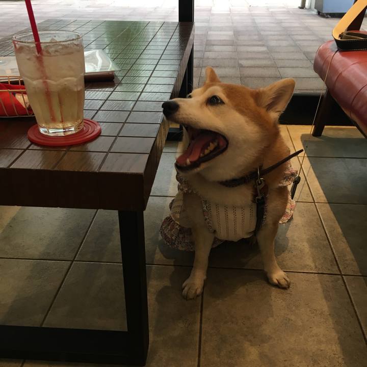 81446d2f ab67 49c1 a12c cb76582465fc