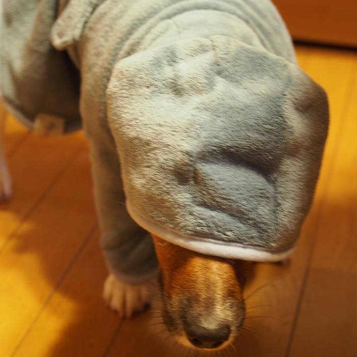 8144e033 35bd 4f1f ac86 7bdb5310cd02