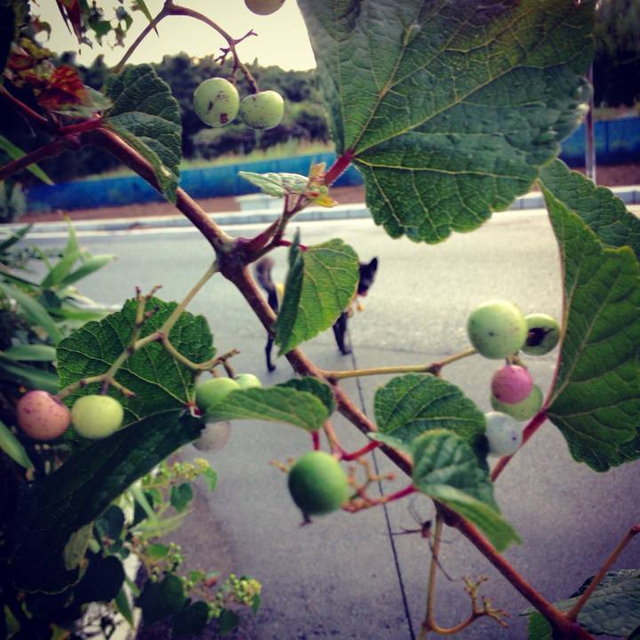 81450d81 973d 4d9b 8655 c74ae2056e6d