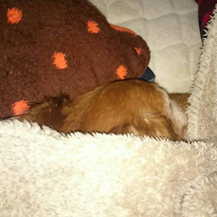 81456468 d781 4718 8721 ecd8ccd9e5e0