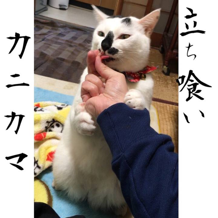 8145be6c e132 4936 989e c94f8e94c6c0