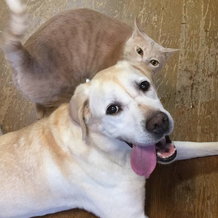 8145f16a c113 4c51 ac45 c417fcc2f252