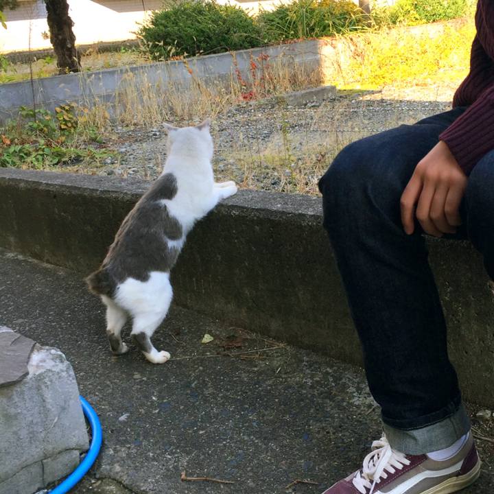 81465450 7897 4874 9ed5 61b9c9c41266