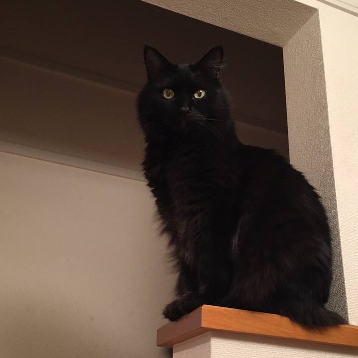 81467973 fb12 4159 b3d2 00017ec774da