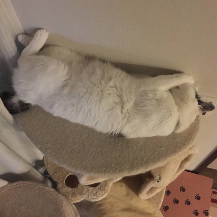 81473965 f53f 4364 ad5e 491bf537b4cc