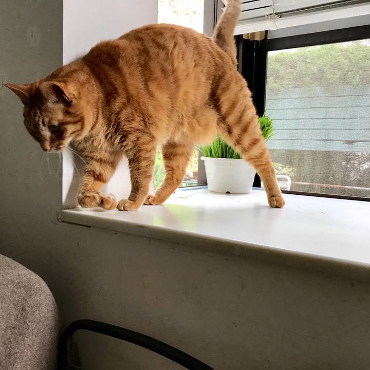 814760e4 5438 405b ba33 a408e60b8cd5