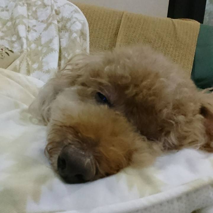 81477f70 9468 44a7 837e f8a89e3c9f50