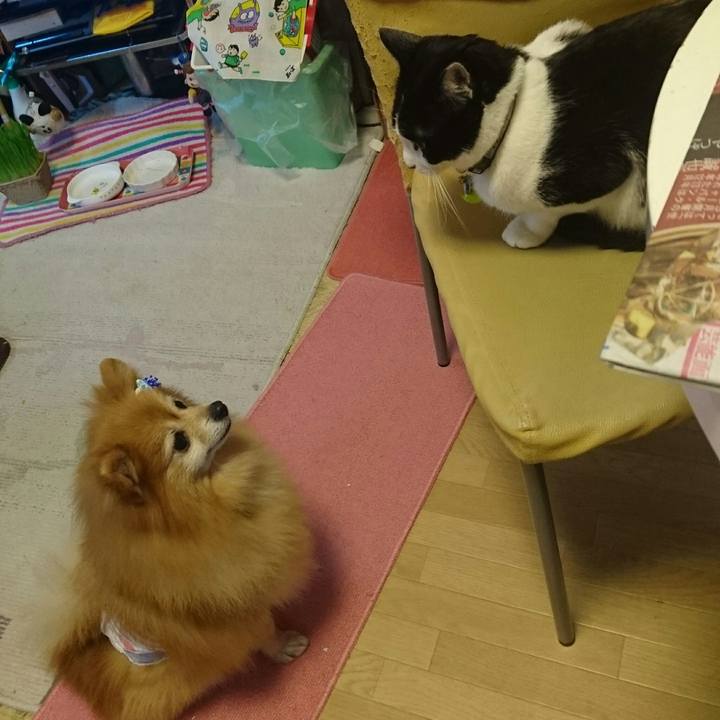 8147e2a9 9aa6 4474 85ea deb6a0d507bf