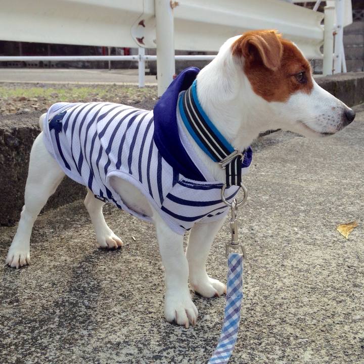 81480021 f046 4f18 b3b9 60e5c1a2e14c