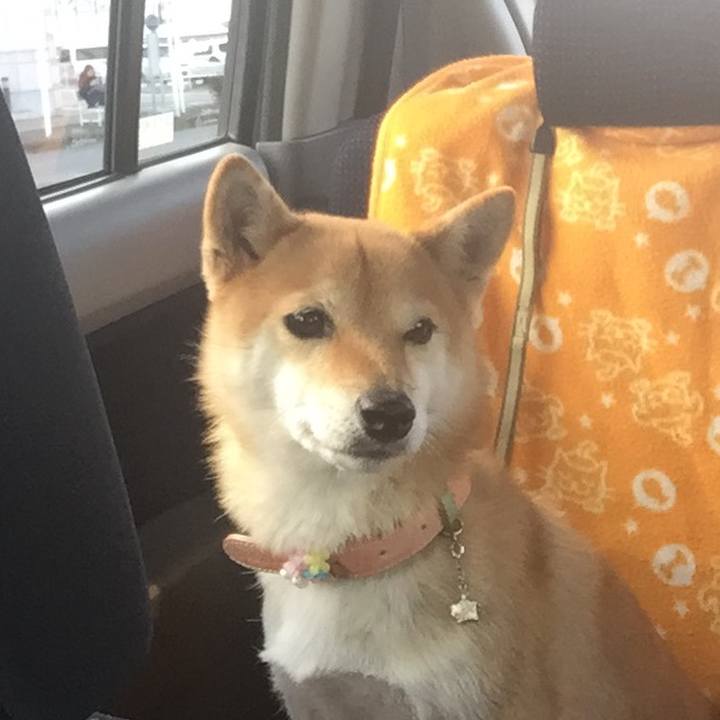 81480442 42c5 4f20 afe5 da5125f84bdc