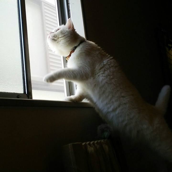 81487839 7c7c 4f45 9199 c2dc9dea004d