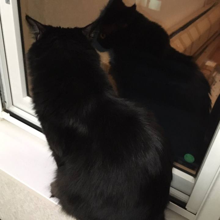 81487a1a dc71 4d94 990b fea41c4cf9f5